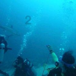 有限元分析团队-结构、散热、流体仿真应用